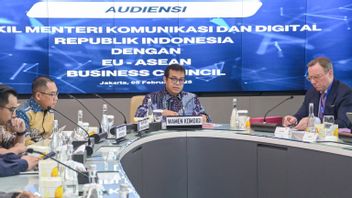 PDN巴淡岛项目停止,Komdigi Ajak Europe Data Central Investment in Indonesia