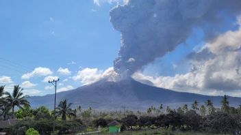 Waspada Banjir Lahar, Gunung Lewotobi Laki-laki Kembali Erupsi pada Kamis Pagi