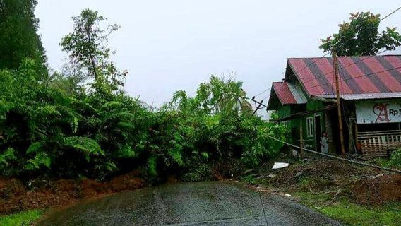 ゴロンタロの地すべりと村の孤立を引き起こす大雨