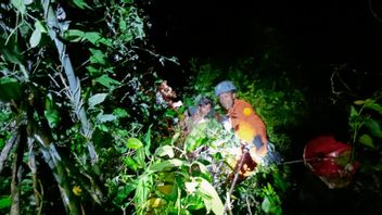 2 Truck Drivers In Buleleng Fight To Fall Into The Abyss, The Bali SAR Team Has To Intervene