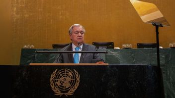 الأمين العام للأمم المتحدة: إن رفض الاعتراف بالدولة الفلسطينية هو هدية للمتطرفين في أي مكان