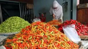 Harga Cabai Rawit Merah Tembus Rp90 Ribu, DKI Siapkan Distribusi 3 Ton per Hari dari Sulsel  