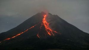 Info Gunung Merapi: Luncurkan Guguran Lava Sejauh 1.200 Meter