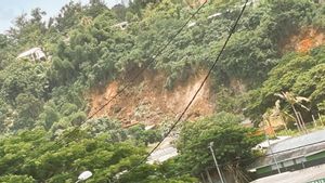 rimous dans le Vanuatu : 14 morts : six d'entre eux ont été causés par des glissements de terrain