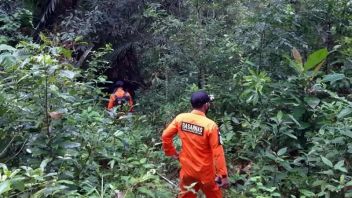 Tamasya's Intention To Break Into The Forest, 3 Men Get Lost Successfully Evacuated By SAR Mataram NTB