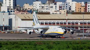 48 Orang Penumpang dan Kru Kabin Pesawat Antonov Rusia Dipastikan Tewas