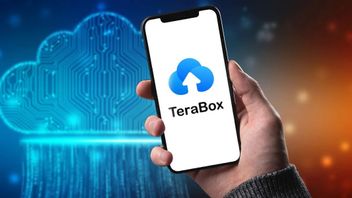 Terabox 安全吗？请在这里阅读完整的解释