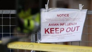 Kasus Flu Burung Masuk Kamboja, Indonesia Diminta Waspada