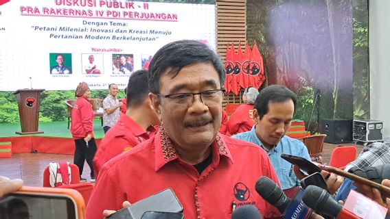 Remind Kaesang Not To Grasak-Grusuk To Enter Politics, Djarot PDIP: Learn First