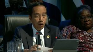 Jokowi Serukan Penghormatan Hukum Internasional dan HAM di KTT BRICS