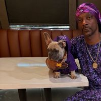 Snoop Dogg Bantah Minta Maaf Usai Kritik Film Lightyear