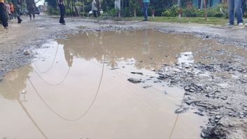 Bupati Lampung Selatan Ikut Mancing Ikan Lele di Jalan Rusak Dukung Aksi Warga
