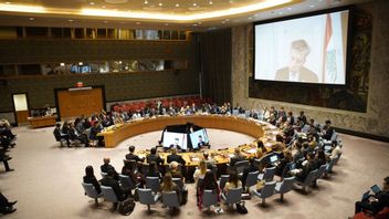 Pengamat : Ada Indikasi Amerika dan Israel Menggerus Legitimasi PBB