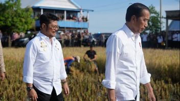 Jokowi Appoints The Head Of Badanas As Acting Minister Of Agriculture