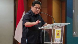 Erick Thohir: PLN adalah Jantung Indonesia, Pertumbuhan Ekonomi ke Depan Perlu Listrik