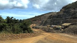 バーリルの部下は、ガグ・ラジャ・アンパット島のニッケル鉱山を問題なく呼ぶ