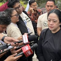 Puan soal Pansus Ilegal Logging dan Revisi UU Kehutanan: Dibahas Setelah Bencana Sumatera Tertangani