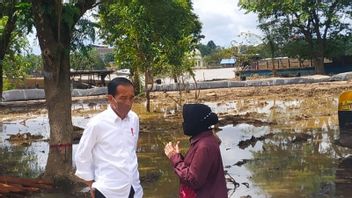 Residents Of Sintang: I Have Goosebumps, Mr. Jokowi Comes To Sintang, Salute To Mr. Jokowi People