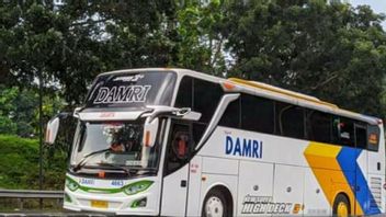 DAMRI Buka Layanan Rute Baru Jakarta-Jogja