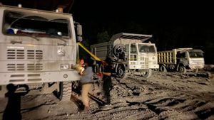 Polisi Amankan Dua WNA China di Tambang Batu Bara Ilegal Tanah Bumbu Kalsel
