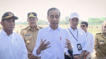 Jokowi Calls Survey Results As Government Evaluation Material
