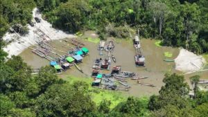 Praperadilan Ditolak, 12 Tersangka PETI di TN Tanjung Puting Dilimpahkan Kemenhut ke Kejaksaan