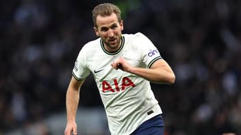 Top Score Of All Time In Premier League For One Club: Harry Kane Tops List