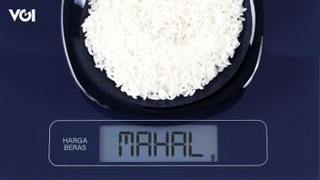 Slow Harvest, Cause Of Skyrocketing Rice Prices
