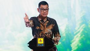 PLN's Net Profit Drops To IDR 17.76 Trillion In 2024
