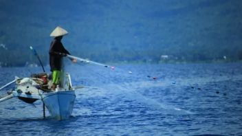  異常気象に見舞われた伝統的な漁師の運命、政府は社会的保護計画を強化するよう求めた