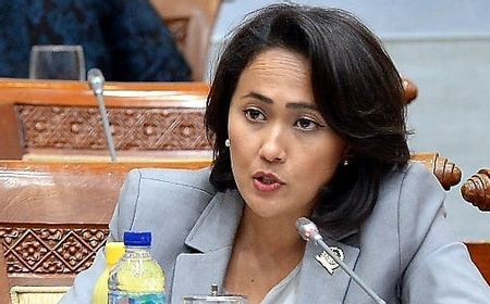 Anggota DPR: Indonesia Butuh UU Primer Terkait Perlindungan Data