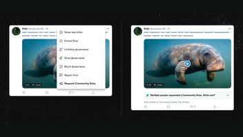 Platform X Users Can Ask For Community Notes In Misleading Posts