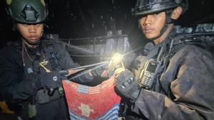 7 Anggota KKB Ditembak Saat Serang Pos TNI/Polri di Intan Jaya