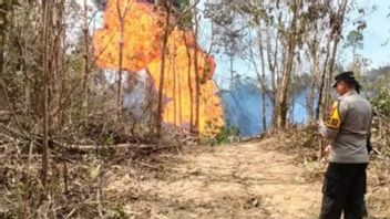 3 People Detained After Burning Illegal Oil Wells In Batanghari Jambi