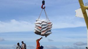 Komisi IV DPR Ingatkan Tak Ada Ruang untuk Impor Beras