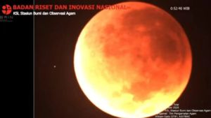 Blood Moon 2025 Jadi Salah Satu Fenomena Gerhana Terlama dalam Dekade Ini
