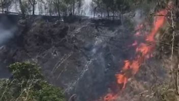 Laporan Sementara TNGR, Luas Areal Terbakar Gunung Rinjani Capai 55 Hektare