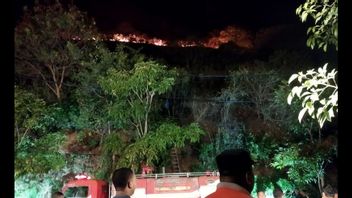 火災を防ぎ、観光客はラブアンバホヒルで喫煙しないように注意を喚起されます