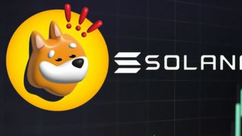 Memecoin Solana的创建者参与了加密市场的欺诈游戏
