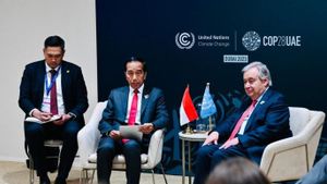 Presiden Joko Widodo Dukung PBB Menjalankan Aksi Iklim