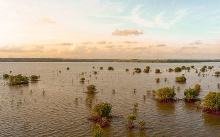 Banjir Bandang di Sudan Tewaskan 86 Orang