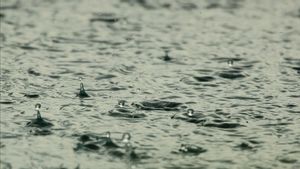  Warga Jabodetabek, Waspadai Hujan Lebat pada 23 dan 24 Februari