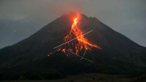 Berita Gunung Merapi Hari Ini: Ada 206 Kali Gempa Guguran