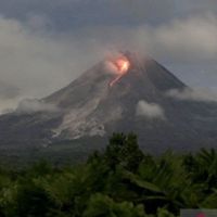 Gunung Merapi Luncurkan Lava Pijar 15 Kali pada Selasa Pagi, Level Siaga 