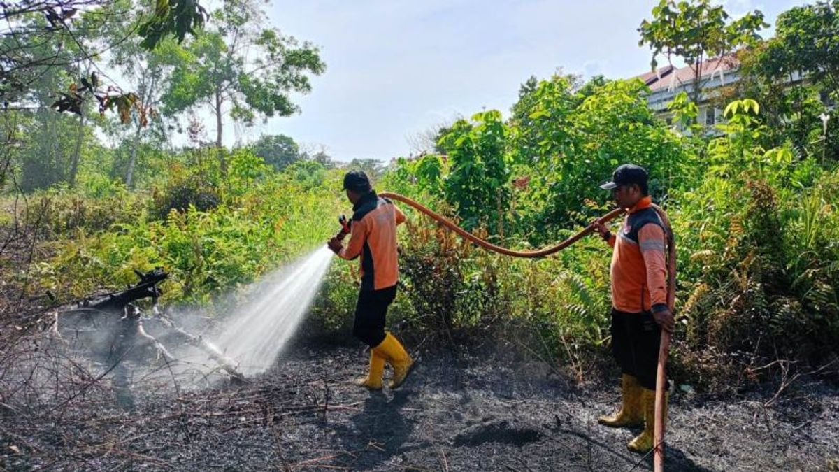 BMKG Reports Number Of Hotspots In East Kalimantan Decreases Again