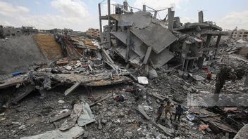 Norwegia akan Sumbangkan Keuntungan dari Kualifikasi Piala Dunia Melawan Israel untuk Bantuan Gaza