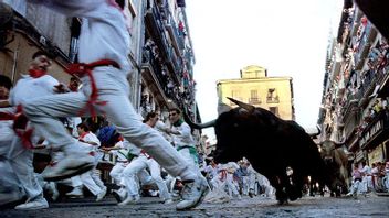 San Fermin Festival Officially Canceled, No Bull And Man Fight This Year In Pamplona