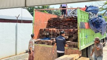 544 Batang Kayu Ilegal Disamarkan Jadi Rumput Laut, Sopir Truk Ditangkap di Makassar