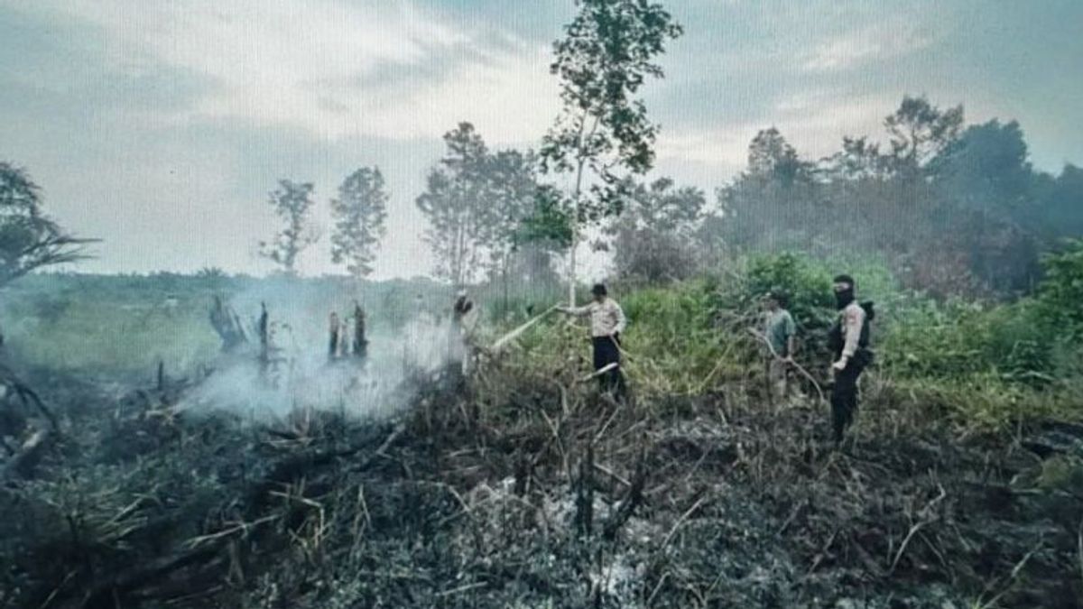 Polda Sumsel Tangani 16 Kasus Pembakaran Lahan