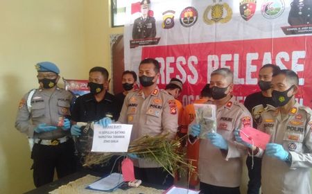 Polres OKU Buru Pemilik Kebun Ganja